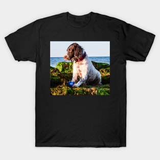 English Springer T-Shirt